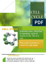 CELL CYCLE Presentation