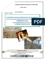 Rapport Finale Boubaker