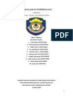 MAKALAH PATOFISIOLOGI 'Infertilitas'