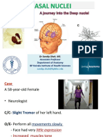 Basal Ganglia