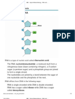 BBC - Higher Bitesize Biology - RNA and Protein Synthesis - Print