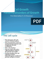 Prof - Abdul Jabbar N. Al-Shammari