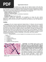 Opportunistic Mycoses: Yeasts: Candida SPP., Cryptococcus Spp. Mycelial or Filamentous Fungi