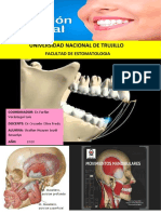 Oclusion Semana 5