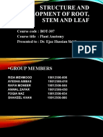 Structure and Development of Root, Stem and Leaf