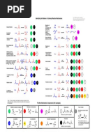 Identifying The Patterns in Carbonyl Reaction Mechanisms: R R NR NR