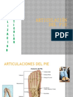 ARTICULACIÓN Pie