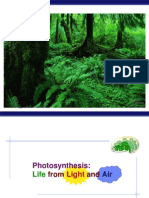 30 CH 10 Photosynthesis 2006