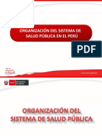 Organización Del Sistema de Salud en El Perú