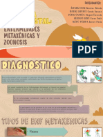 PROGRAMA PRESUPUESTAL - Enfermedades Metaxenicas y Zoonoticas - Prevencion y Control Del Cancer