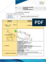 Bioquimica 56 Metabolismo Valentina Salazar