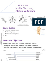 BIOL1263 11 Vertebrate Chordates 2020 PDF