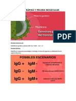 Curso Pruebas Rapidas