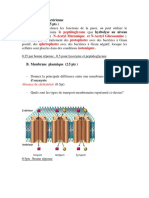 Corrigé Type Examen de Rattrapage de Microbiologie 2016