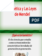 Leyes de Mendel