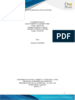 211624A - 764 - Colaborativo - Fase 1 - Grupo - 17 PDF