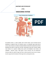 Endocrine System: Anatomy and Physiology of The