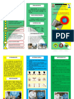 Parchechirichiri Triptico PDF