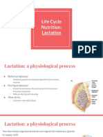 Lactation Presentation