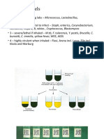 Fastidious Gram Negative Rods