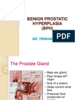 Benign Prostatic Hyperplasia (BPH)