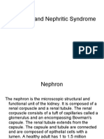 Nephrotic and Nephritic - Syndrome