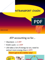 Electron Transport Chain PDF