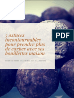 5 Astuces Incontournables Pour Prendre Plus de Carpes Avec Ses Bouillettes Maison 1 PDF