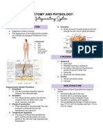 Anaphy - Integumentary System (Notes)