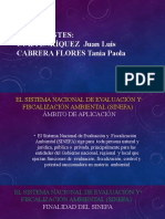 Sistema Nacional de Evaluacion y Fiscalizacion Ambiental