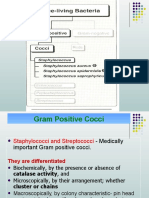 Staphylococcus Lecture