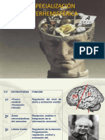 Especialización Interhemisférica - Tirapu PDF