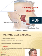 Salivary Gland