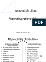 Syndrome Nephrotique-2