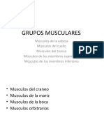 Tema 8 Musculos de La Cabeza