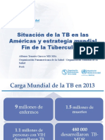 01 - Situación TB Las Américas y Estrategia Fin de La TB May15