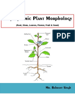 Angeospermic Plant Morphology 