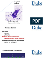 The Nervous System Action Potentials: Jennifer Carbrey Ph.D. Department of Cell Biology