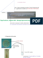 Systématique Des Procaryotes - La Galerie API 20E