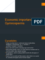 Economic Importance of Gymnosperms