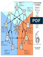 Enneagramme Synthetique PDF