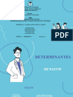 Determinantes en Salud - Determinantes Conductuales, Biológicos y Sociales - Subgrupo 3