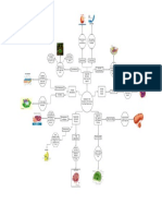 Biology Cells Graphic Organizer