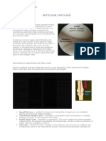 Articular Cartilage Applied Anatomy