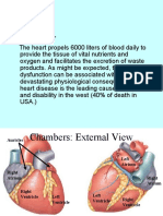 Pathology of HEART - 1