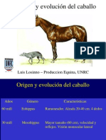 02-Origen y Evolucion Caballo