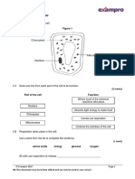 4-4 Bioenergetics - Biology: 1.0 Figure 1 Shows A Plant Cell