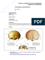 Atlas de Anatomia Sistema Oseo