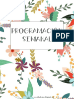 Varios Modelos de PROGRAMACIÓN SEMANAL PDF