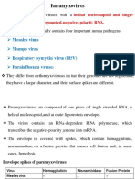 Paramyxovirus: Measles Virus Mumps Virus Respiratory Syncytial Virus (RSV) Parainfluenza Viruses